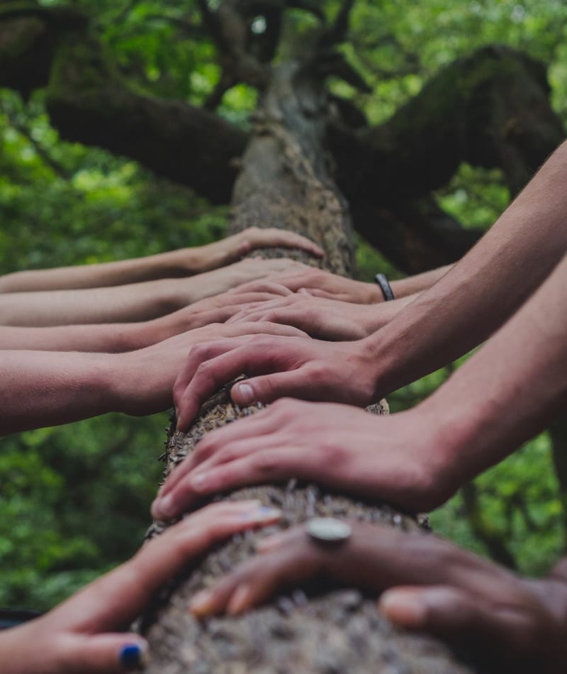Hands on tree
