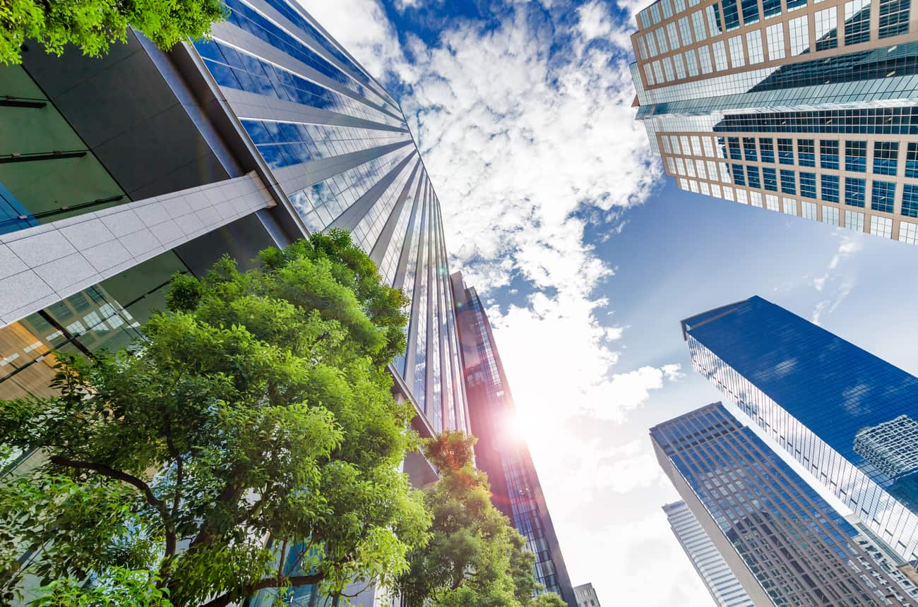 Buildings trees