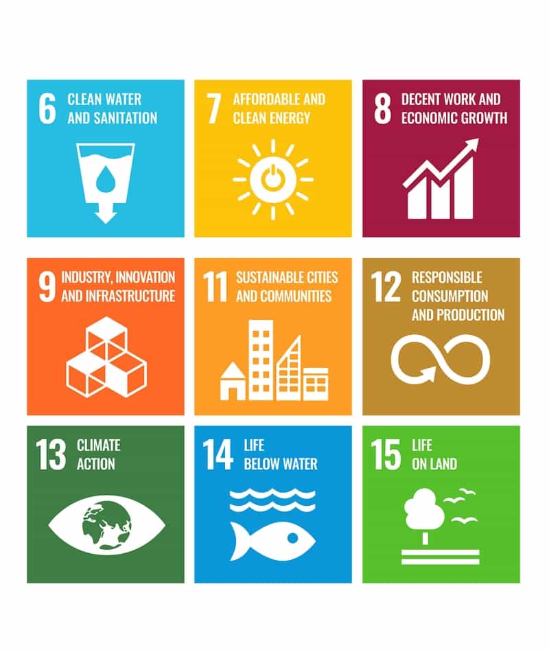 Nine United Nations SDGs