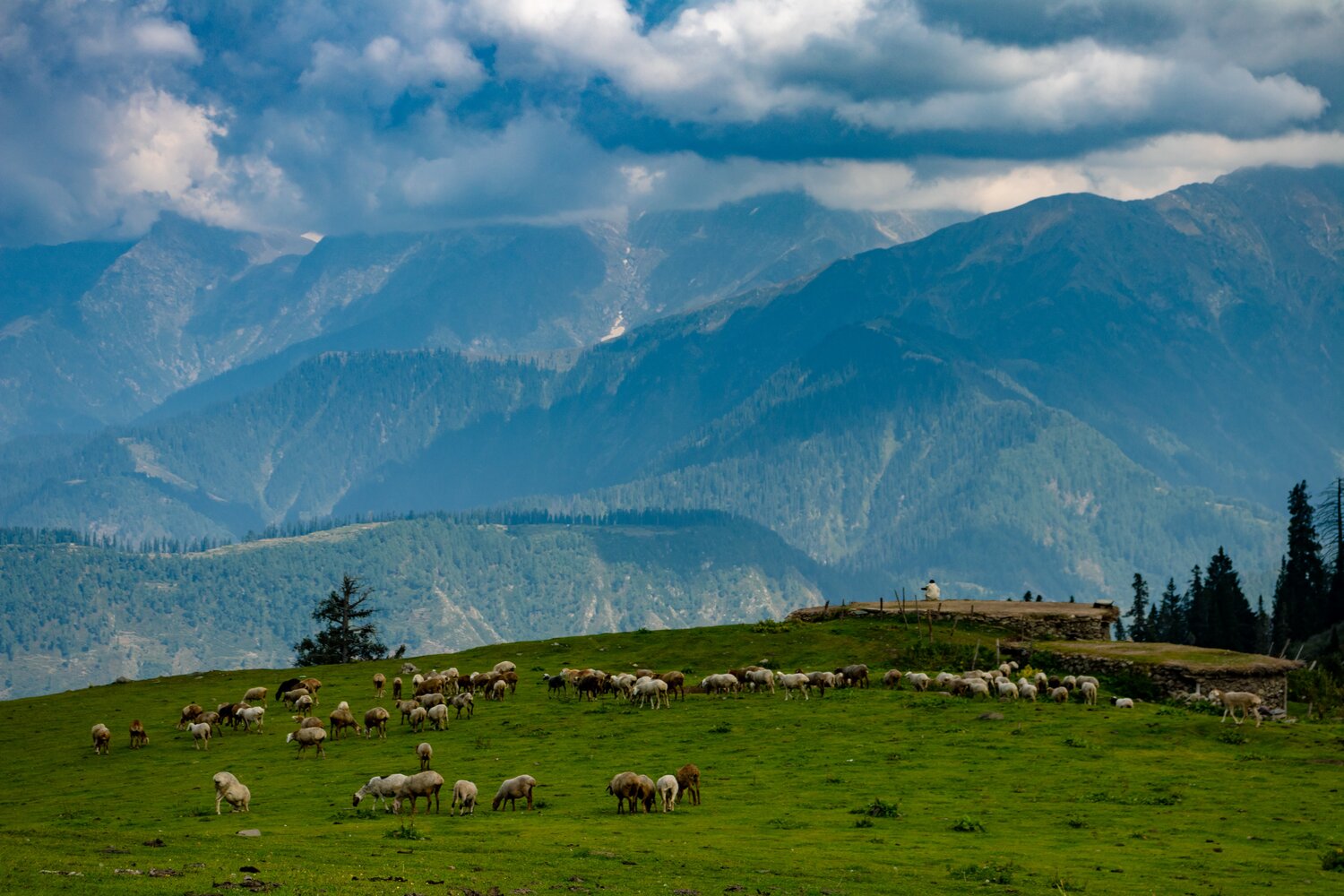 Field mountains scenery