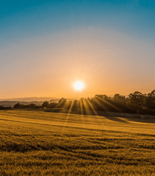 COP26: Keep 1.5°C Alive