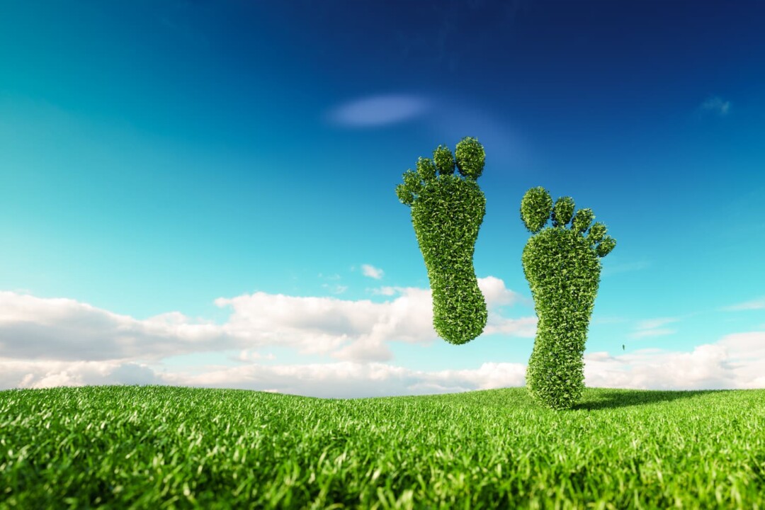 Our Beginner’s Guide to Carbon Footprinting