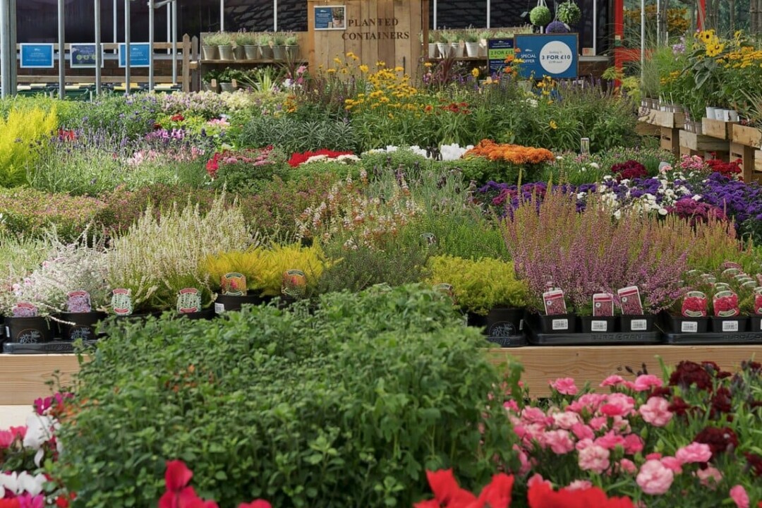 Sustainability in Horticulture: A Q&A with Hillier Garden Centres