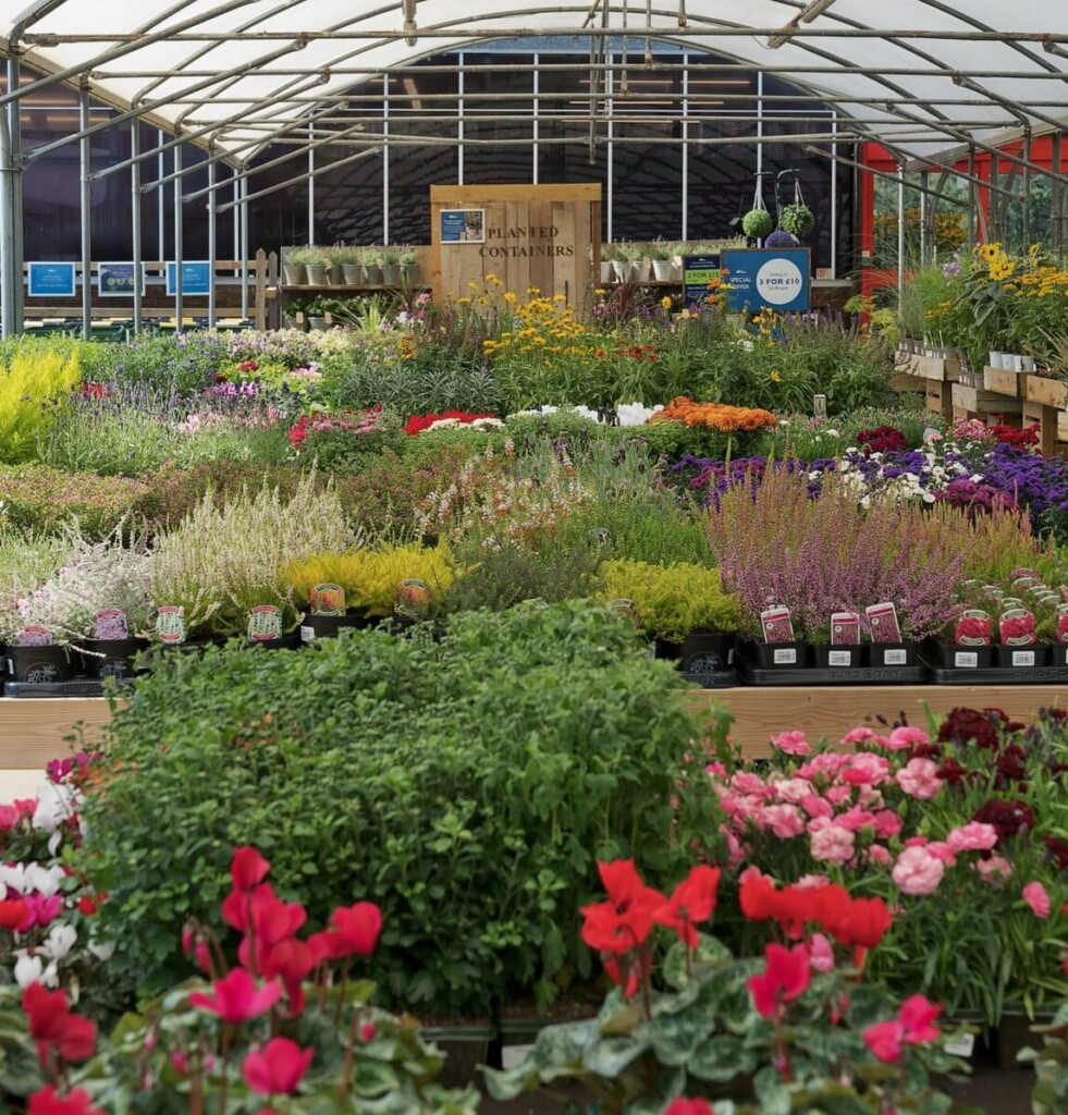 Sustainability in Horticulture A Q&A with Hillier Garden Centres