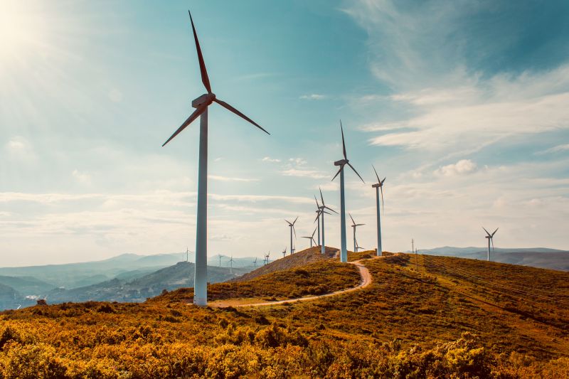 Net Zero Programme Target Setting