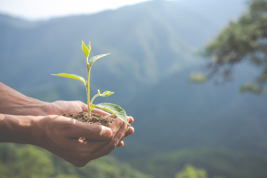 The largest sustainability challenges our clients are facing