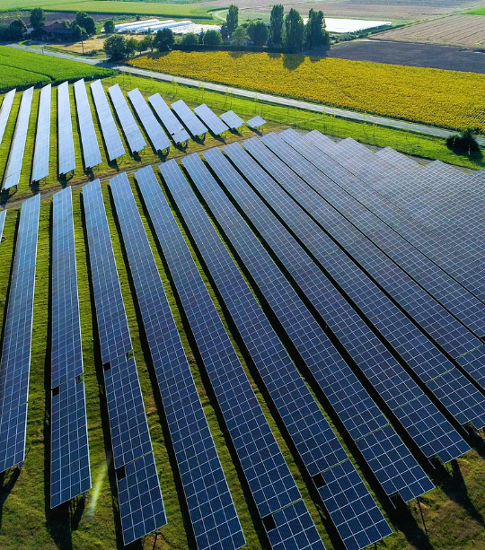 <strong>Sustainability trends shaping organisations in 2023</strong>