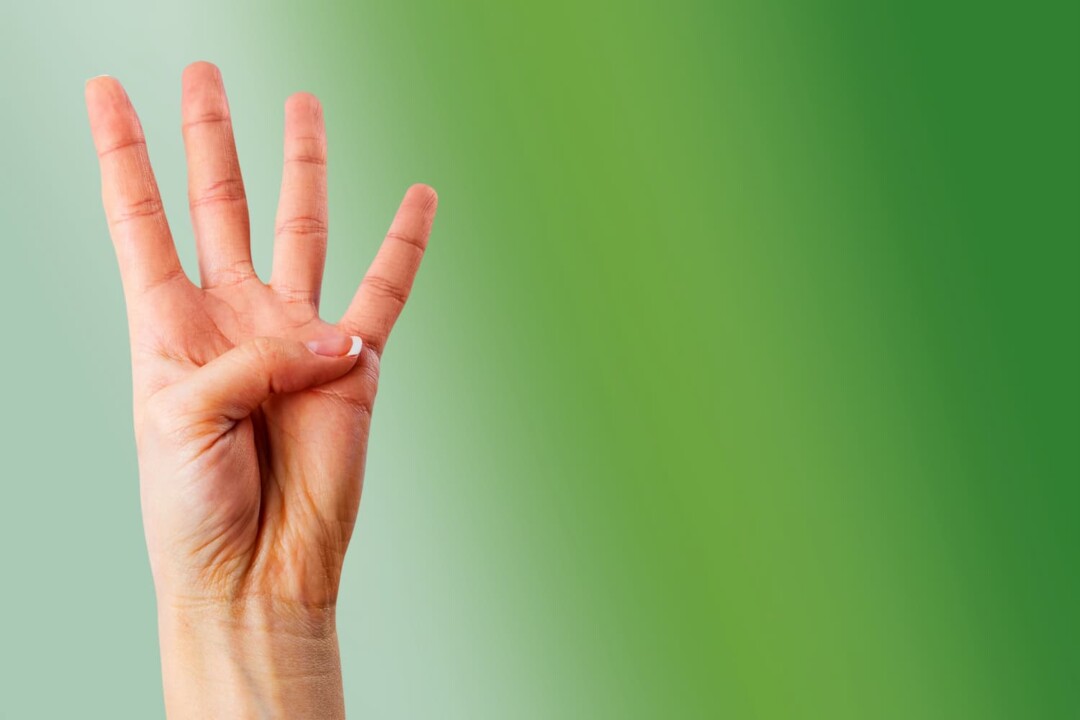 4-Step Program to Take Your Company to Net Zero