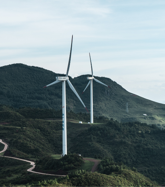The Business Case for Renewable Energy.