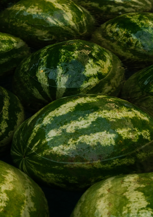 world-food-day-championing-sustainability-and-tackling-food-waste-with-fooditude-watermelon