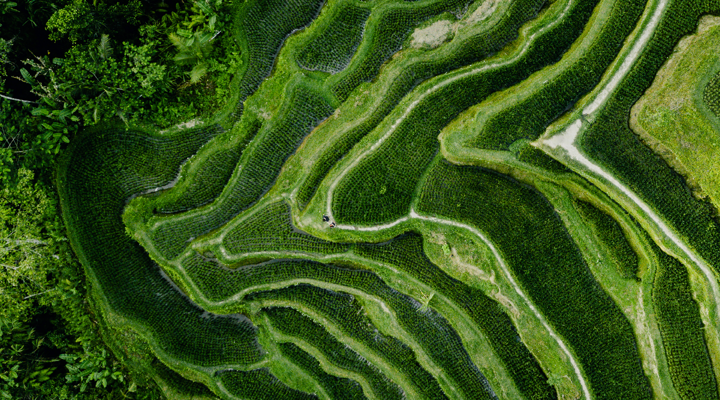 COP30 Outcomes – policy shifts and business implications