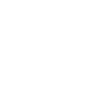 Solo Group