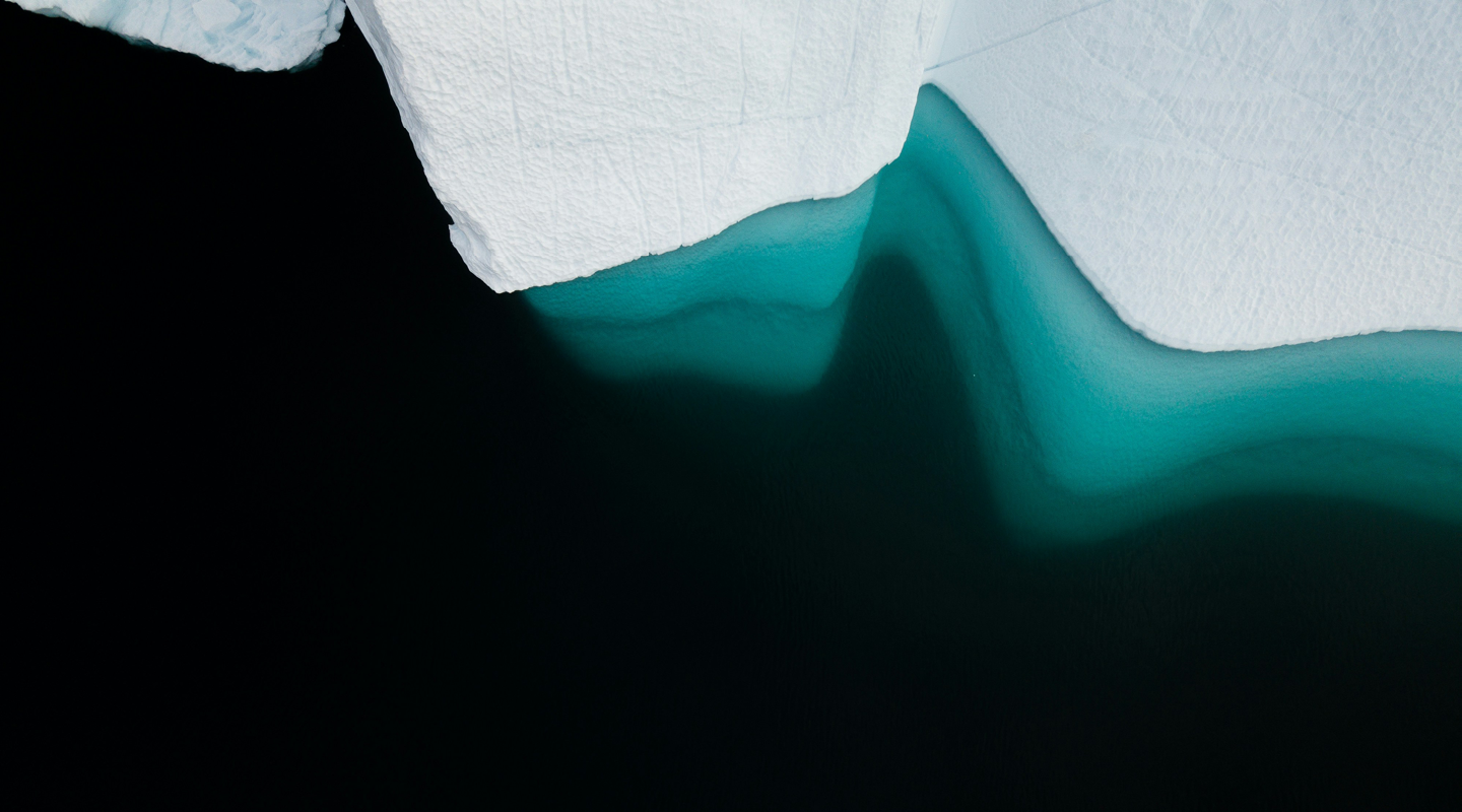 Sustainability trends 2026 Implications for your business