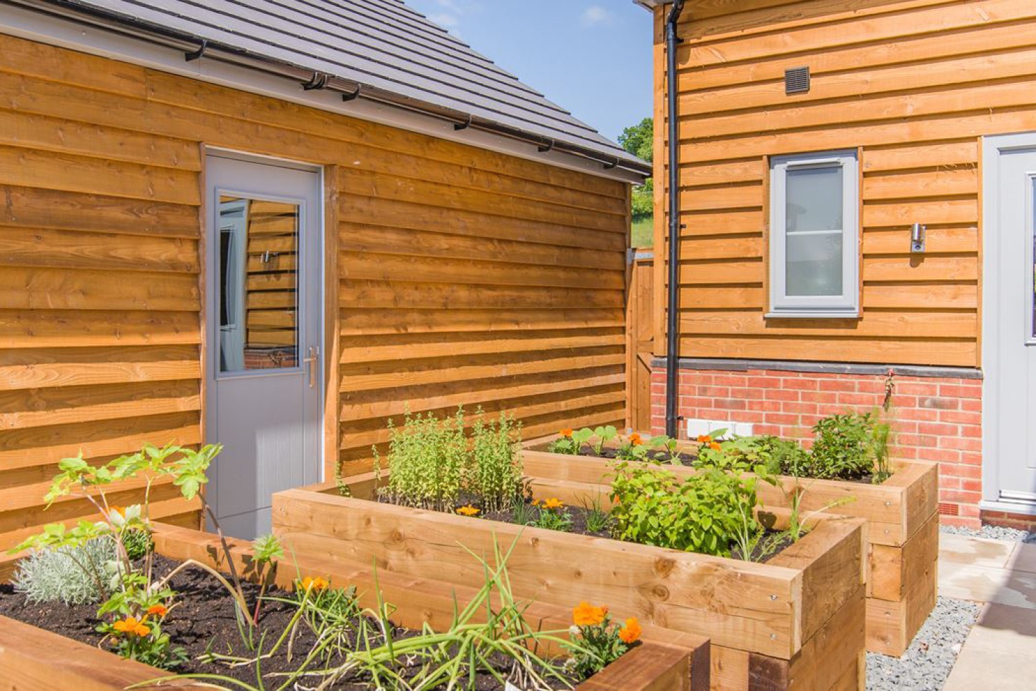 040326 Mf Freeman Cs Body Image 1500x1000px2