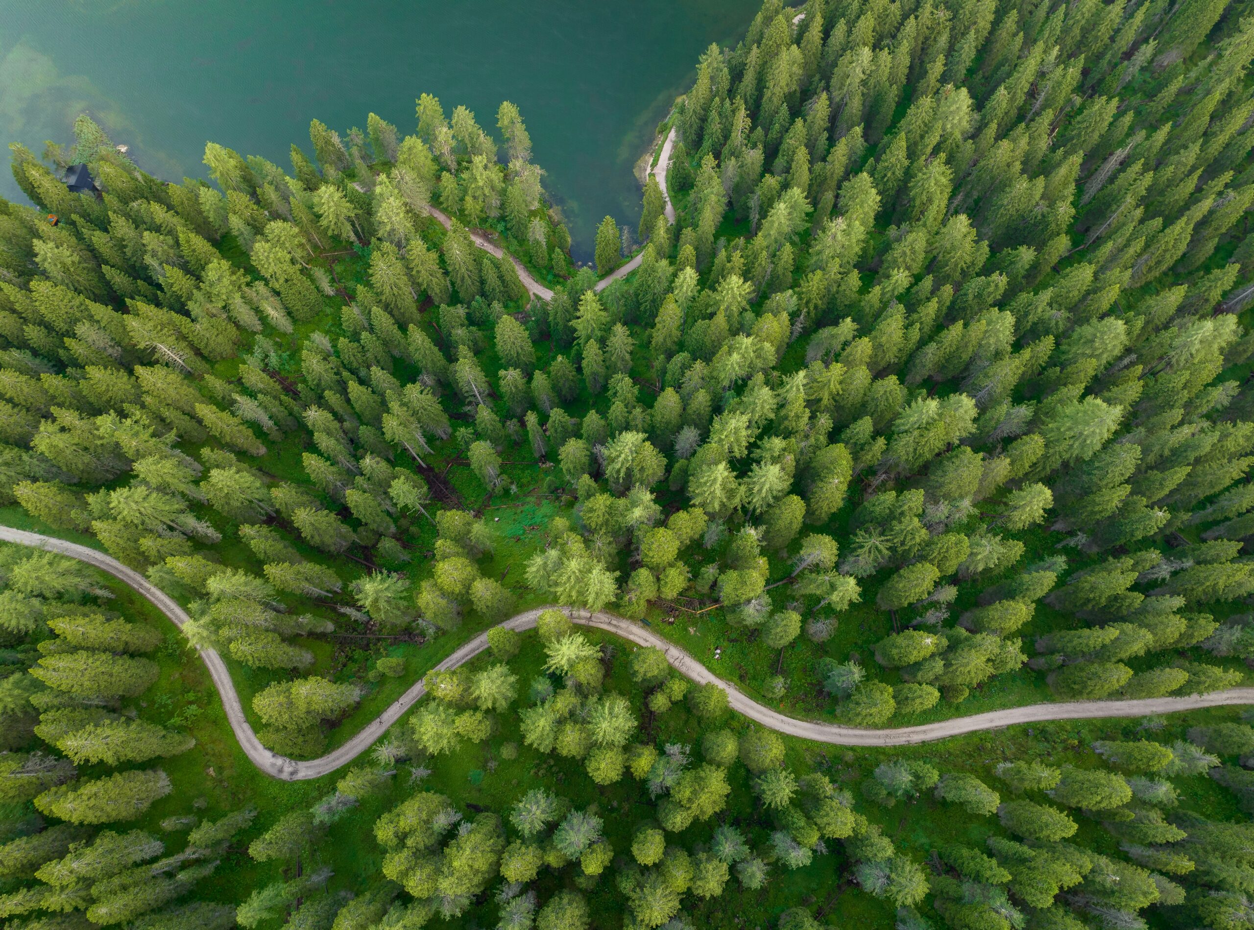 Win tenders with sustainability: Third-party assurance as a competitive advantage