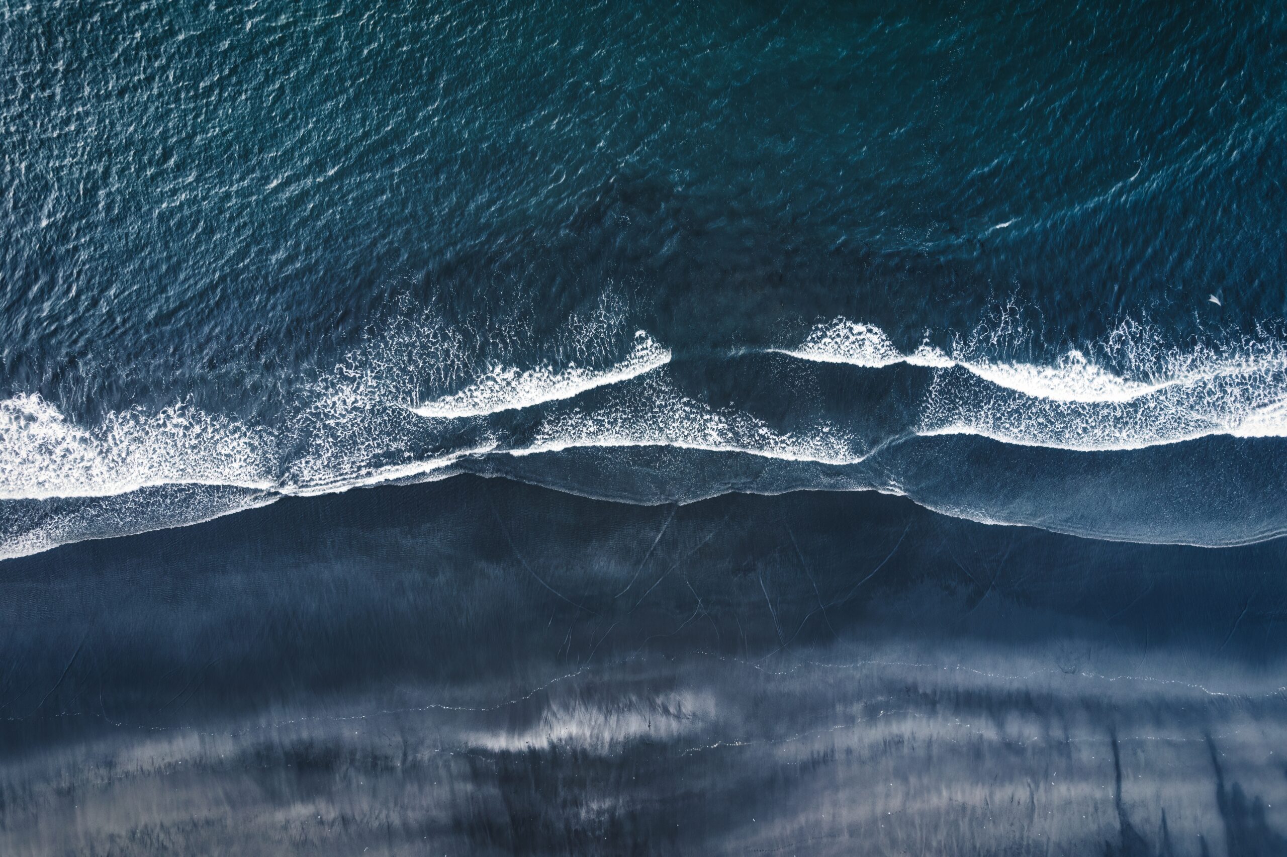 Protecting your organisation amidst changing net zero standards