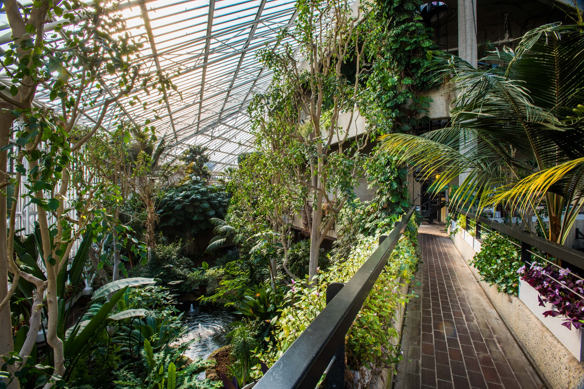 Plants, glass roof and walkway in the Barbican Conservatory